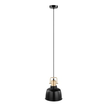 Eglo 49692 - Κρεμαστό φωτιστικό με καλώδιο BODMIN 1xE27/60W/230V
