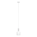 Eglo 62265 - Κρεμαστό φωτιστικό οροφής PASCOA PRO 1xE27/60W/230V 15,6 cm λευκό