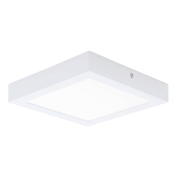 Eglo 64717 - Φωτιστικό οροφής LED FUEVA PRO LED/19W/230V 3000K 22,5x22,5 cm λευκό