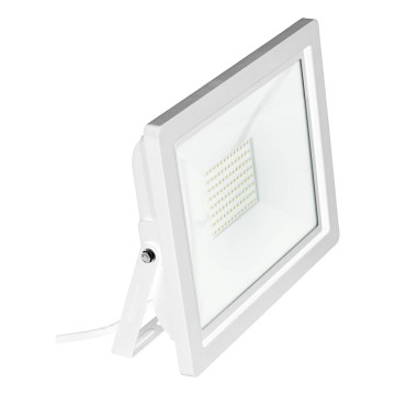 Eglo 64859 - LED Προβολέας FILETTI LED/10W/230V 4000K IP65 λευκό