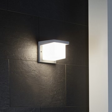 Eglo 65045 - Επιτοίχιο φωτιστικό εξωτερικού χώρου LED DESELLA PRO LED/10W/230V IP54 ασημί