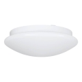 Eglo 68317 - Φωτιστικό οροφής μπάνιου ELLA PROJEKT 1xE27/20W/230V IP44 διάμ. 30 cm