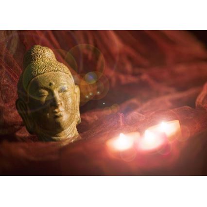 Eglo 75039 - Διακοσμητικός πίνακας LED BUDDHA 3xLED/0,02W/2xAA 30x45 cm