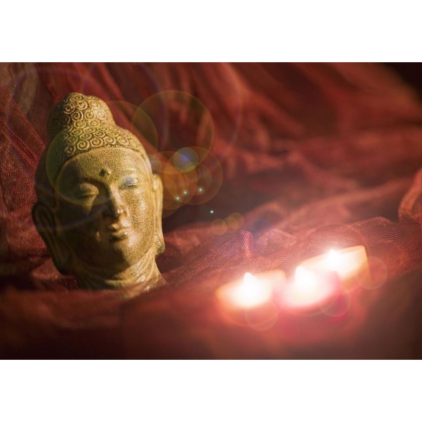 Eglo 75039 - Διακοσμητικός πίνακας LED BUDDHA 3xLED/0,02W/2xAA 30x45 cm
