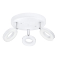 Eglo 75203 - Φως σποτ LED ODERZO 3xLED/3,8W/230V