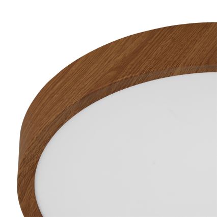 Eglo - LED Οροφωτιστικό LED/14,6W/230V