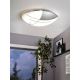 EGLO - Φως οροφής τοίχου 1 x E27/60W ασήμι / λευκό