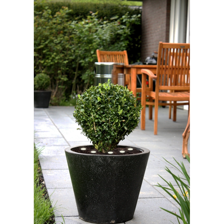 Eglo - LED Εξωτερικό διακοσμητικό φωτιστικό αλυσίδα SPINETOLI 6xLED IP65