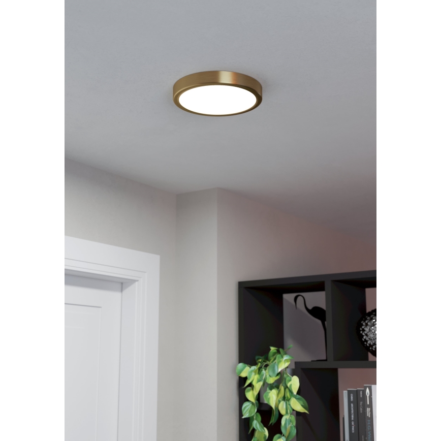 Eglo - Φωτιστικό οροφής LED LED/17W/230V, διάμετρος 21 cm, διάμετρος 21 cm