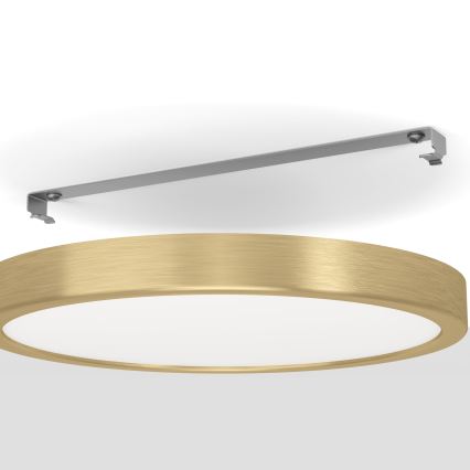 Eglo - Φωτιστικό οροφής LED/20,5W/230V διάμ. 28,5 cm διάμ. 28,5 cm