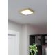 Eglo - Φωτιστικό οροφής LED LED/17W/230V