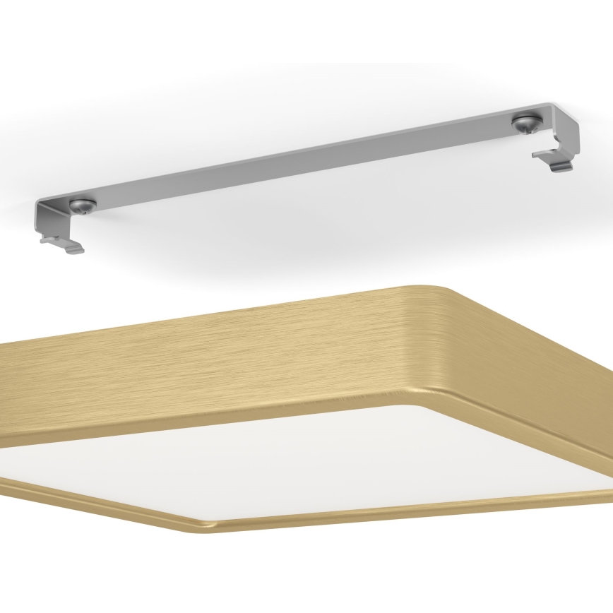 Eglo - Φωτιστικό οροφής LED LED/17W/230V