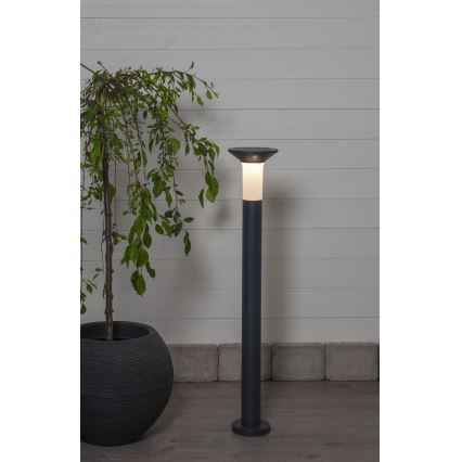 Eglo - LED Εξωτερική ηλιακή λάμπα με αισθητήρα 6xLED/0.03W/3.7V 1500 mAh IP44