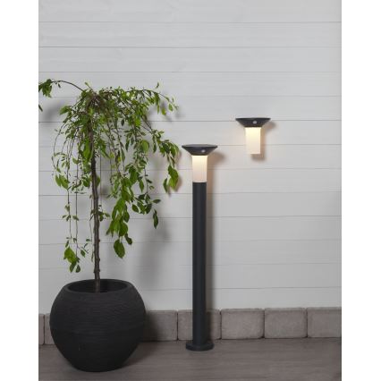 Eglo - LED Εξωτερική ηλιακή λάμπα με αισθητήρα 6xLED/0.03W/3.7V 1500 mAh IP44