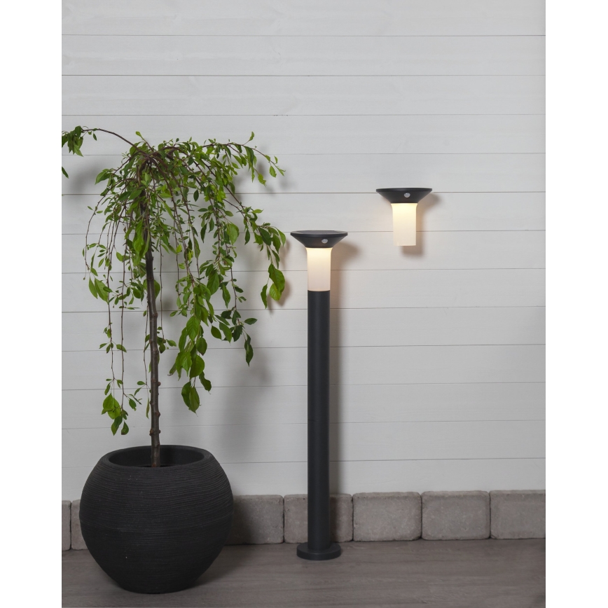 Eglo - LED Εξωτερική ηλιακή λάμπα με αισθητήρα 6xLED/0.03W/3.7V 1500 mAh IP44