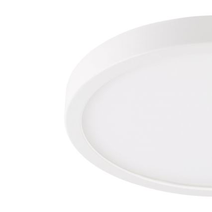 Eglo - LED οροφιαίο φωτιστικό μπάνιου LED/20,5W/230V IP44 λευκό