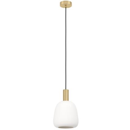 Eglo - Φωτιστικό οροφής με καλώδιο 1xE27/40W/230V