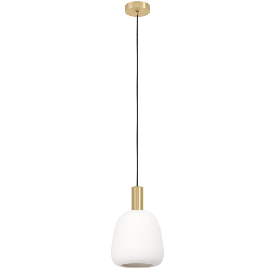 Eglo - Φωτιστικό οροφής με καλώδιο 1xE27/40W/230V
