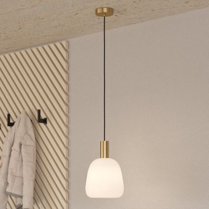 Eglo - Φωτιστικό οροφής με καλώδιο 1xE27/40W/230V