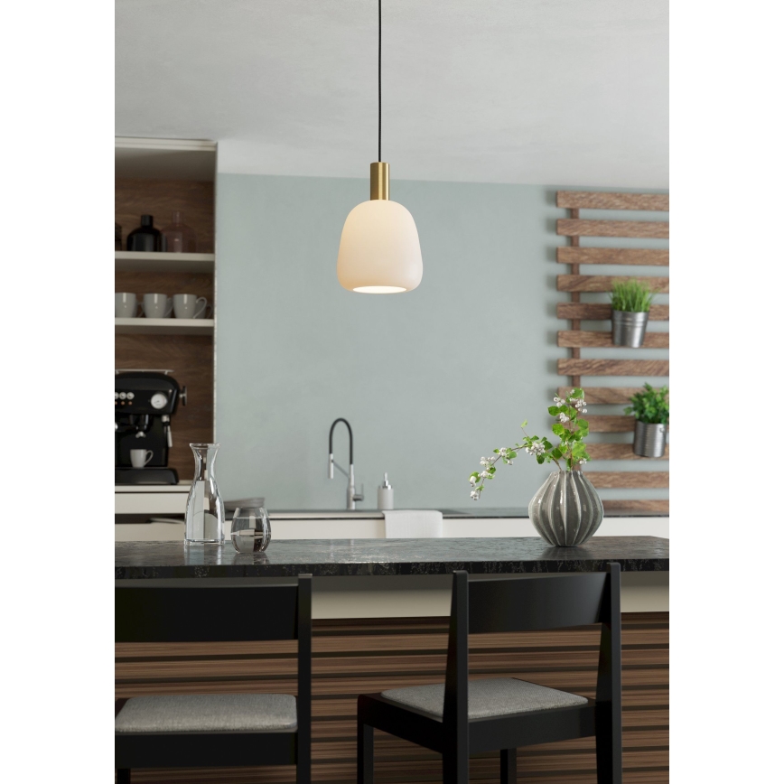 Eglo - Φωτιστικό οροφής με καλώδιο 1xE27/40W/230V