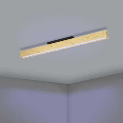 Eglo - LED RGBW Dimmable φωτιστικό οροφής LED/35W/230V 2700-6500K