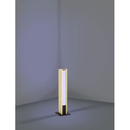 Eglo - LED RGBW Eπιτραπέζιο φωτιστικό  LED/16W/230V 2700-6500K