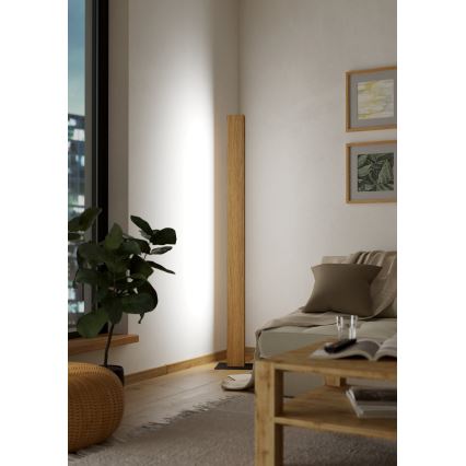 Eglo - LED RGBW Επιδαπέδια λάμπα dimming LED/35W/230V 2700-6500K