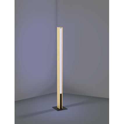Eglo - LED RGBW Επιδαπέδια λάμπα dimming LED/35W/230V 2700-6500K