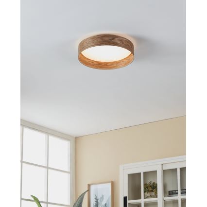 Eglo - Φωτιστικό οροφής LED LED/24W/230V