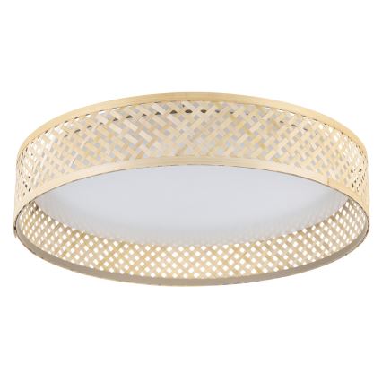 Eglo - Φωτιστικό οροφής LED LED/24W/230V
