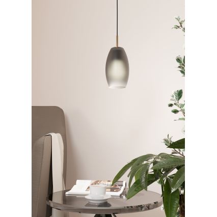 Eglo - Κρεμαστό φωτιστικό οροφής 1xE27/40W/230V