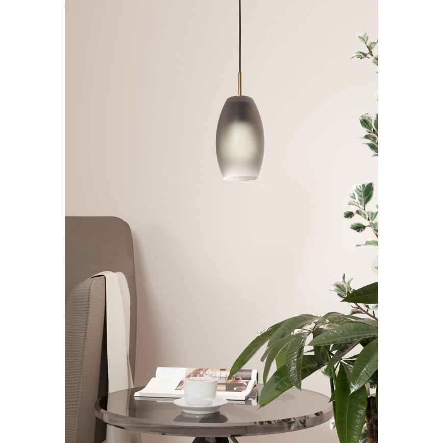 Eglo - Κρεμαστό φωτιστικό οροφής 1xE27/40W/230V
