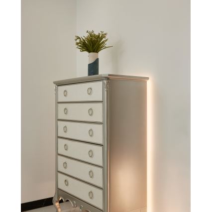 Eglo - Ρυθμιζόμενη LED ταινία 8m COB STRIPE LED/52,8W/24/230V 2700-6500K + τηλεχειριστήριο