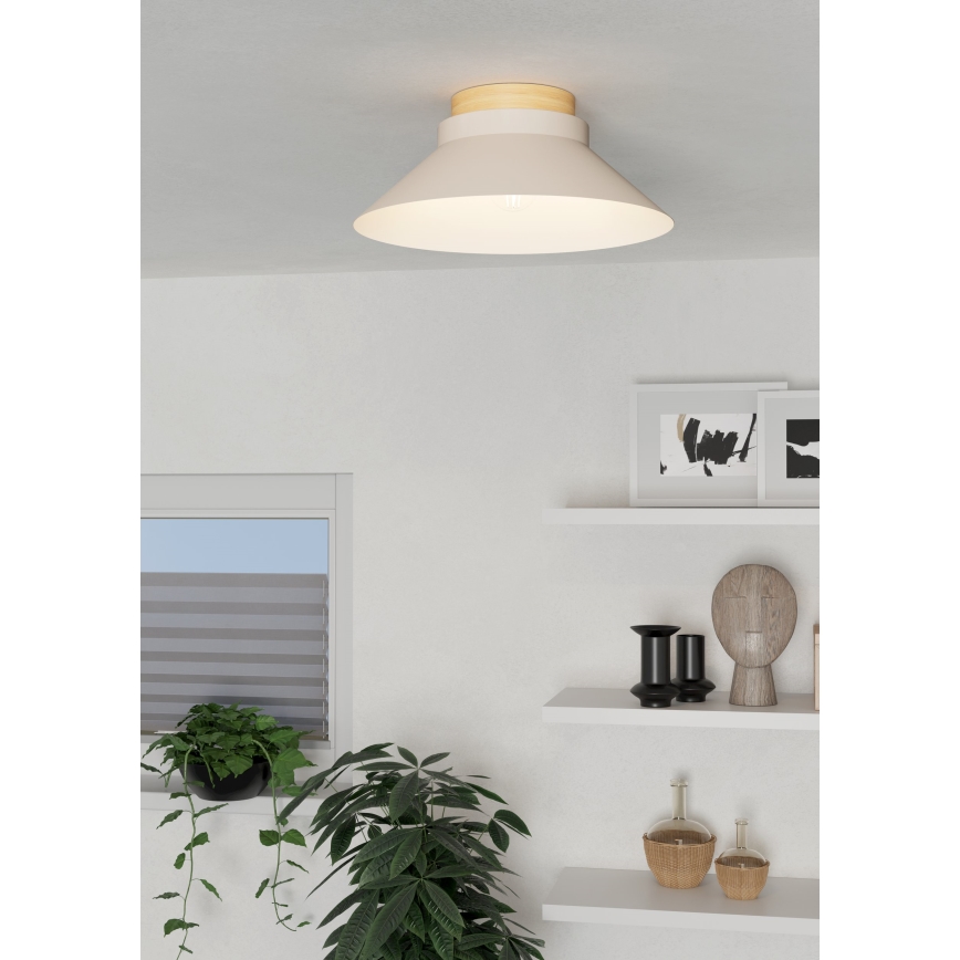 Eglo - Φωτιστικό οροφής 1xE27/40W/230V