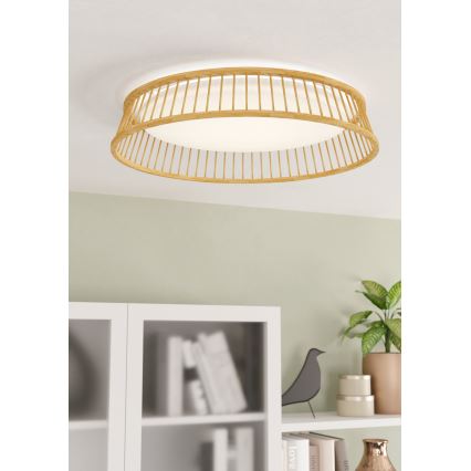 Eglo - Φωτιστικό οροφής LED LED/20W/230V καφέ