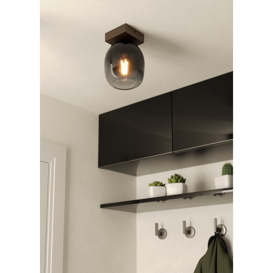 Eglo - Φωτιστικό οροφής 1xE27/40W/230V