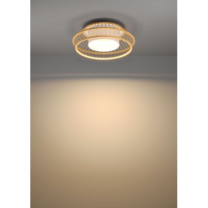 Eglo - LED RGBW Dimmable φωτιστικό οροφής LED/22W/230V 2700-6500K