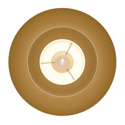 Eglo - Φωτιστικό οροφής 1xE27/40W/230V