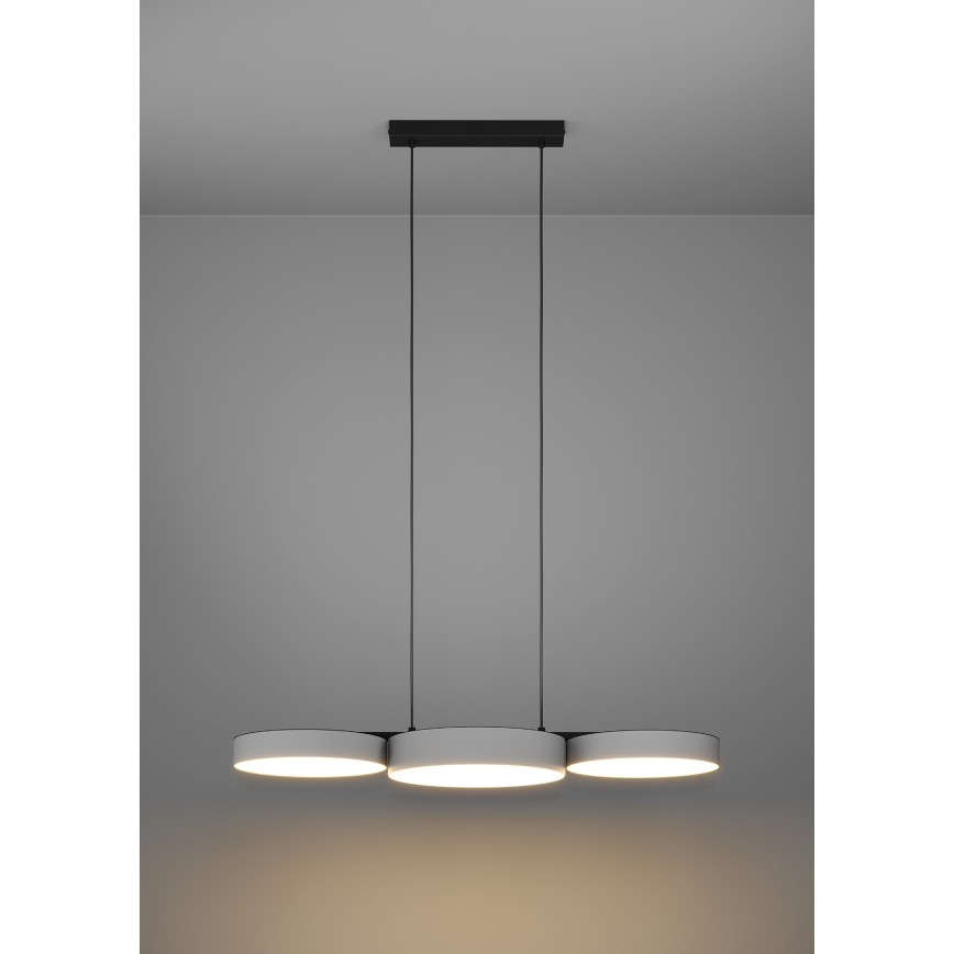 Eglo - LED RGBW Πολύφωτο dimming με συρματόσχοινο 3xLED/7,5W/230V 2700-6500K γκρι