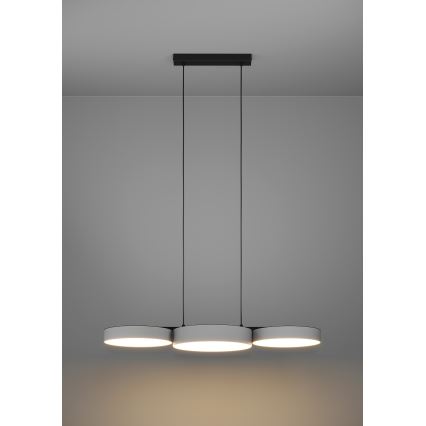 Eglo - LED RGBW Πολύφωτο dimming με συρματόσχοινο 3xLED/7,5W/230V 2700-6500K γκρι