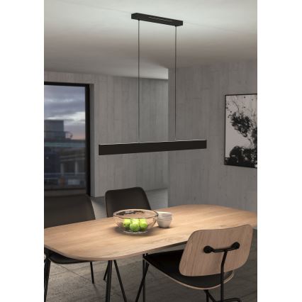 Eglo - LED RGBW Πολύφωτο dimming με συρματόσχοινο LED/38W/230V 2700-6500K μαύρο