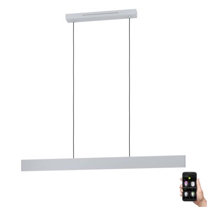 Eglo - LED RGBW Πολύφωτο dimming με συρματόσχοινο LED/38W/230V 2700-6500K λευκό