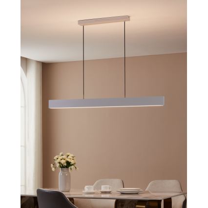 Eglo - LED RGBW Πολύφωτο dimming με συρματόσχοινο LED/38W/230V 2700-6500K λευκό