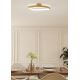 Eglo - LED Dimmable φωτιστικό οροφής LED/25,2W/230V