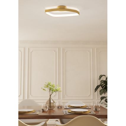 Eglo - LED Dimmable φωτιστικό οροφής LED/25,2W/230V