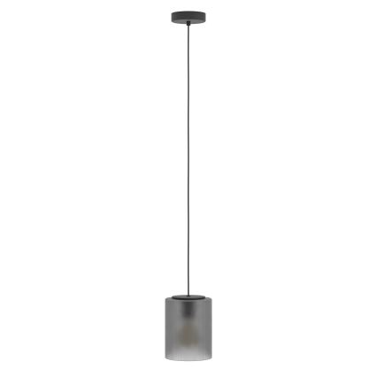Eglo - Κρεμαστό φωτιστικό οροφής 1xE27/40W/230V γκρι