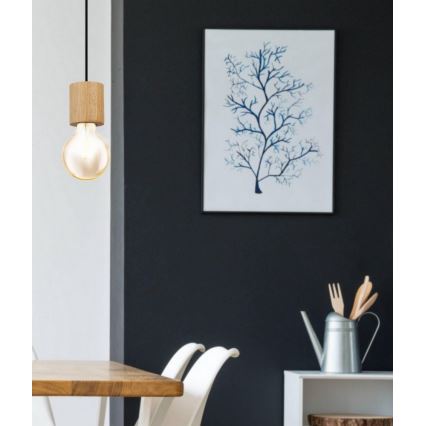 Eglo - Κρεμαστό φωτιστικό με καλώδιο 1xE27/28W/230V