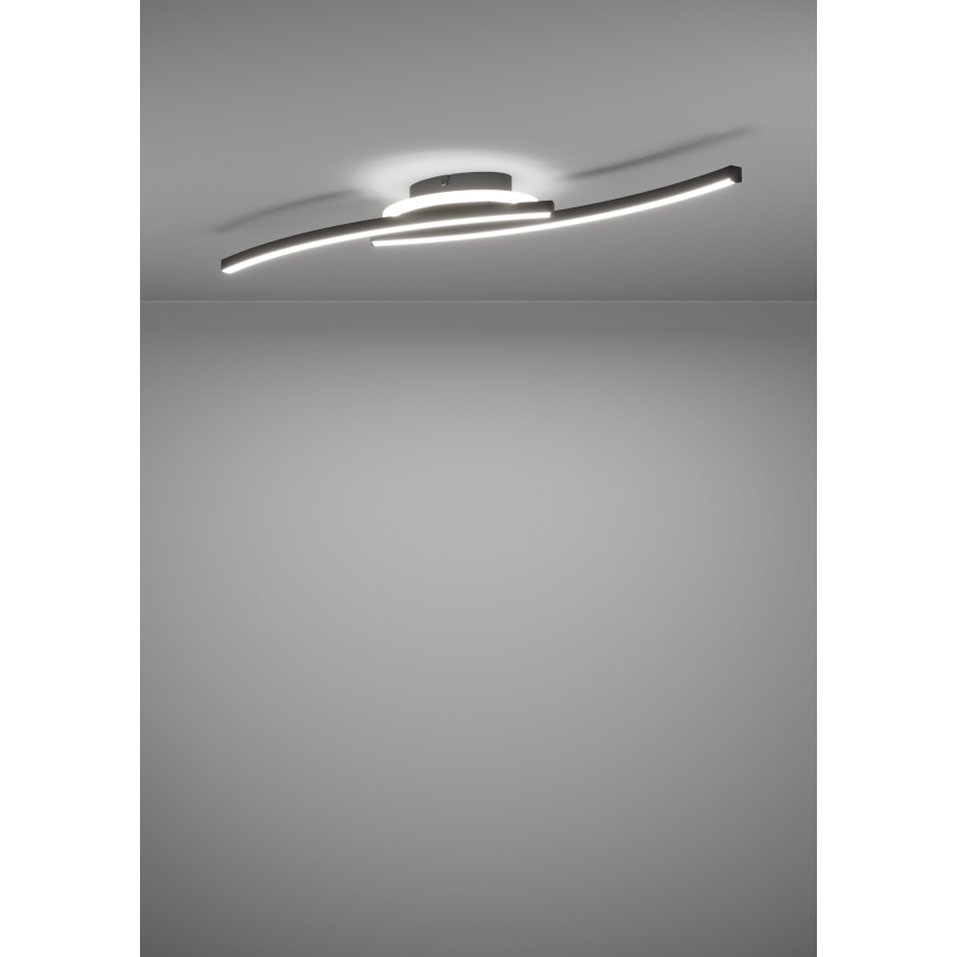 Eglo - Φωτιστικό οροφής LED LED/12W/230V 4000K μαύρο
