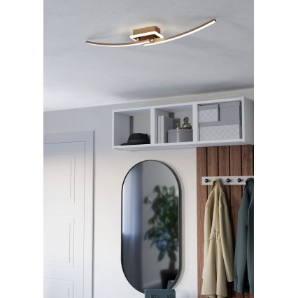 Eglo - Φωτιστικό οροφής LED LED/12W/230V 4000K χαλκός