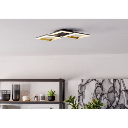 Eglo - LED Dimmable φωτιστικό οροφής LED/20W/230V 4000K μαύρο/χρυσό